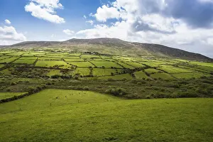 Irish Countryside Views Drucke: Typical hilly landscape with cloudy sky