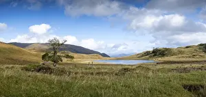 Typical British Countryside Drucke: Typical landscape in the Highlands