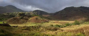 Cumbria England UK Drucke: Typical landscape in late summer