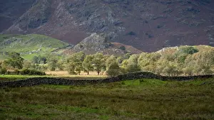 Cumbria England Landscapes Drucke: Typical landscape with stone wall