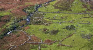 Snowdonia National Park Drucke: Typical landscape with stone wall