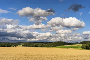Upper Palatinate Landscape Drucke: Typical landscape in the Upper Palatinate
