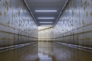 Public Transport Illustration Drucke: A typical underground corridor background 3d illustration