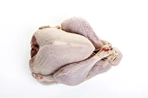 Raw Meat Nutrition Drucke: Whole uncooked turkey