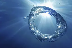 Underwater World Photography Drucke: Underwater Bubble Ring Ascends towards the Sun