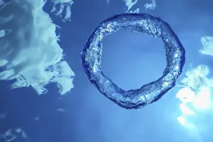 Soap Bubble Ascends Drucke: Underwater Bubble Ring Ascends towards the Sun