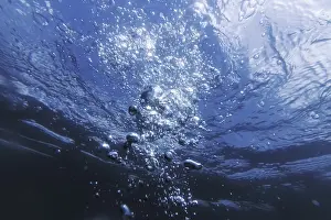 Deserted Underwater Scene Drucke: Underwater Bubbles with Sunlight