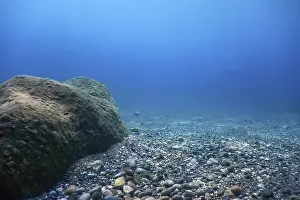 Ocean Floor Scene Drucke: Underwater Rocks and Pebbles on the Seabed