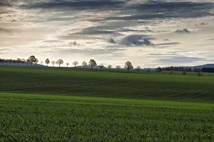 Hilly Countryside Photography Drucke: Undulating landscape with fields
