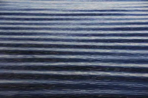 Deserted Lakeside Scene Drucke: Uniform water waves, reflection