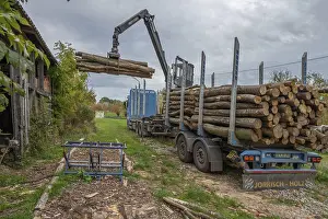 Othenstorf Estate Germany Drucke: Unloading logs from a log transporter
