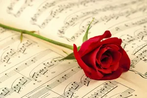 Red Blossom Drucke: Мusical notes and red rose