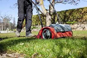 Gardening Tools Drucke: Using a scarifier in the garden to improving quality of the lawn in spring