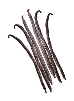 Bright White Background Drucke: Vanilla pods isolated on the white background