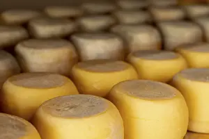 Rustic Italian Cuisine Drucke: Variety rustic cheese wheels