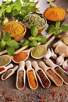 Kitchen Food Photography Drucke: Variety of spices on kitchen table