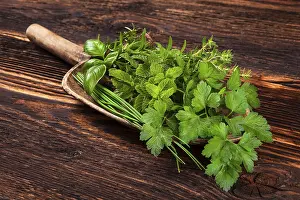 Aromatic Herbs Drucke: Various aromatic culinary herbs
