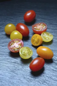 Deserted Fruit Still Life Drucke: Various cherry tomatoes, cherry tomato