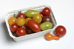 Food Photography Germany Drucke: Various cherry tomatoes in packaging, Germany