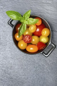Tomato Varieties Drucke: Various cherry tomatoes in pots, cherry tomato