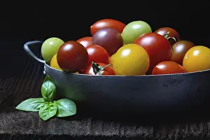 Fresh Cherry Tomatoes Drucke: Various cherry tomatoes in shell, Germany