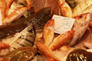 Baroque Old Town Sicily Drucke: Various fish in display, detail