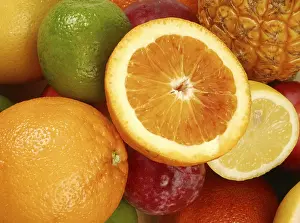 Fresh Citrus Fruits Drucke: Various fruit