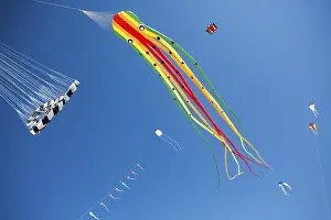 Beach Leisure Activity Drucke: Various kites, on the beach, octopus