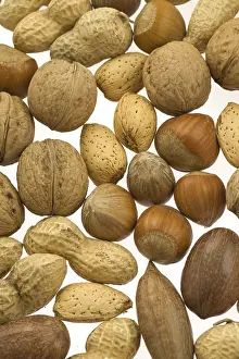 Hazelnut Nutrition Facts Drucke: Various nuts in their shells, brazil nuts