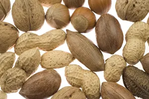 Food Still Life Drucke: Various nuts in their shells, brazil nuts