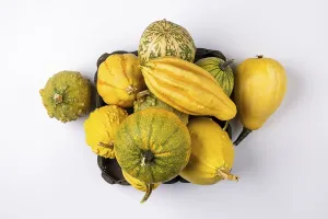 High Angle View Of Pumpkins Drucke: Various ornamental pumpkins in and next to baskets