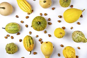 Diverse Garden Produce Drucke: Various ornamental pumpkins and hazelnuts