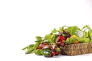 Isolated Vegetable Images Drucke: Various peppers (Capsicum) in and next to baskets