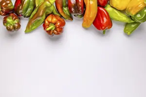 Plain Colored Background Photos Drucke: Various peppers (Capsicum), red