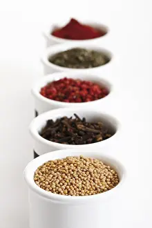 Studio Background Cuisine Drucke: Various spices