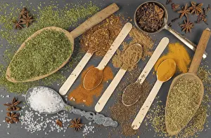 Spicy Food Ingredients Drucke: Various spices on different spoons