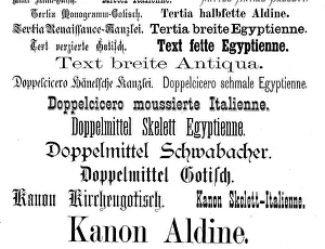 Symbolic Lettering Drucke: Various typefaces, fonts that were already known in 1890
