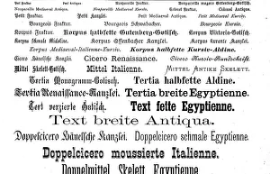 Nineteenth Century Typography Drucke: Various typefaces, fonts that were already known in 1890