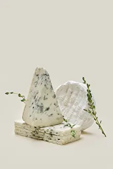 Gorgonzola Cheese Drucke: Various types of blue mold cheese