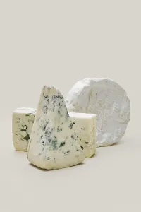 Types Of Blue Cheese Drucke: Various types of blue mold cheese