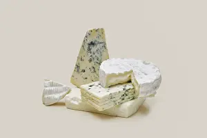 Blue Cheese Varieties Drucke: Various types of blue mold cheese
