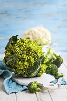 Brassicaceae Plants Drucke: Various types of cabbage: romanesco