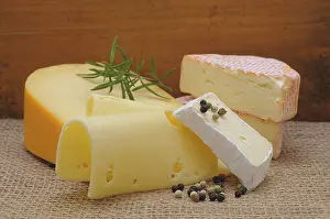 Studio Shot Of Spices And Herbs Drucke: Various types of cheeses, Germany