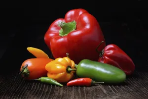 Solanaceae Plant Varieties Drucke: Various types of peppers, Germany