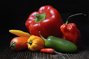 European Vegetables Drucke: Various types of peppers, Germany