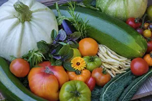 Southern Germany Farming Drucke: Various vegetables, courgettes