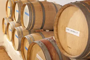 Viniculture Images Drucke: Several various wine barrels age inside cellar