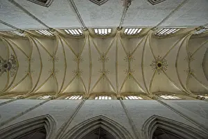 Deserted German Cathedral Drucke: Vaulting, view of the vaulted ceiling