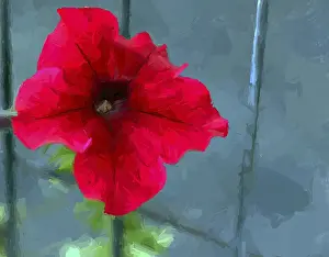 Digital Art Illustration Drucke: Vector brush paining of a red flower