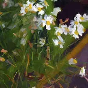 Colorful Flower Bouquet Drucke: Vector daisies composition, abstract vector art